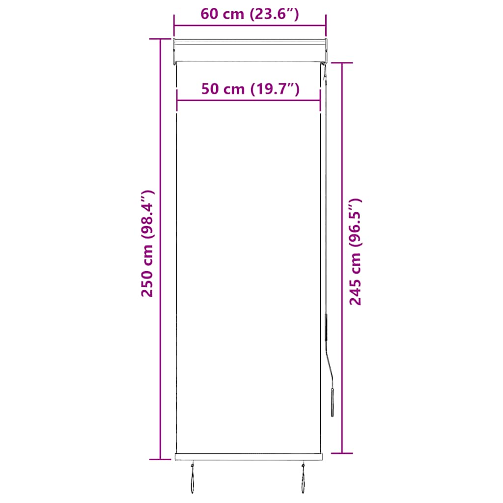 Rolgordijn voor buiten 60x250 cm crème is nu te koop bij PeponiXL, paradijselijk wonen!