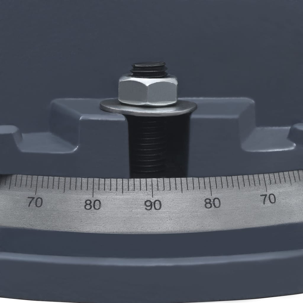 Bankschroef draaibaar 160 mm gietijzer is nu te koop bij PeponiXL, paradijselijk wonen!
