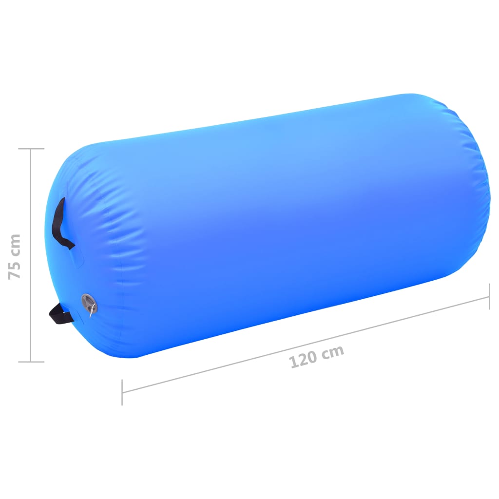 Gymnastiekrol met pomp opblaasbaar 120x75 cm PVC blauw is nu te koop bij PeponiXL, paradijselijk wonen!