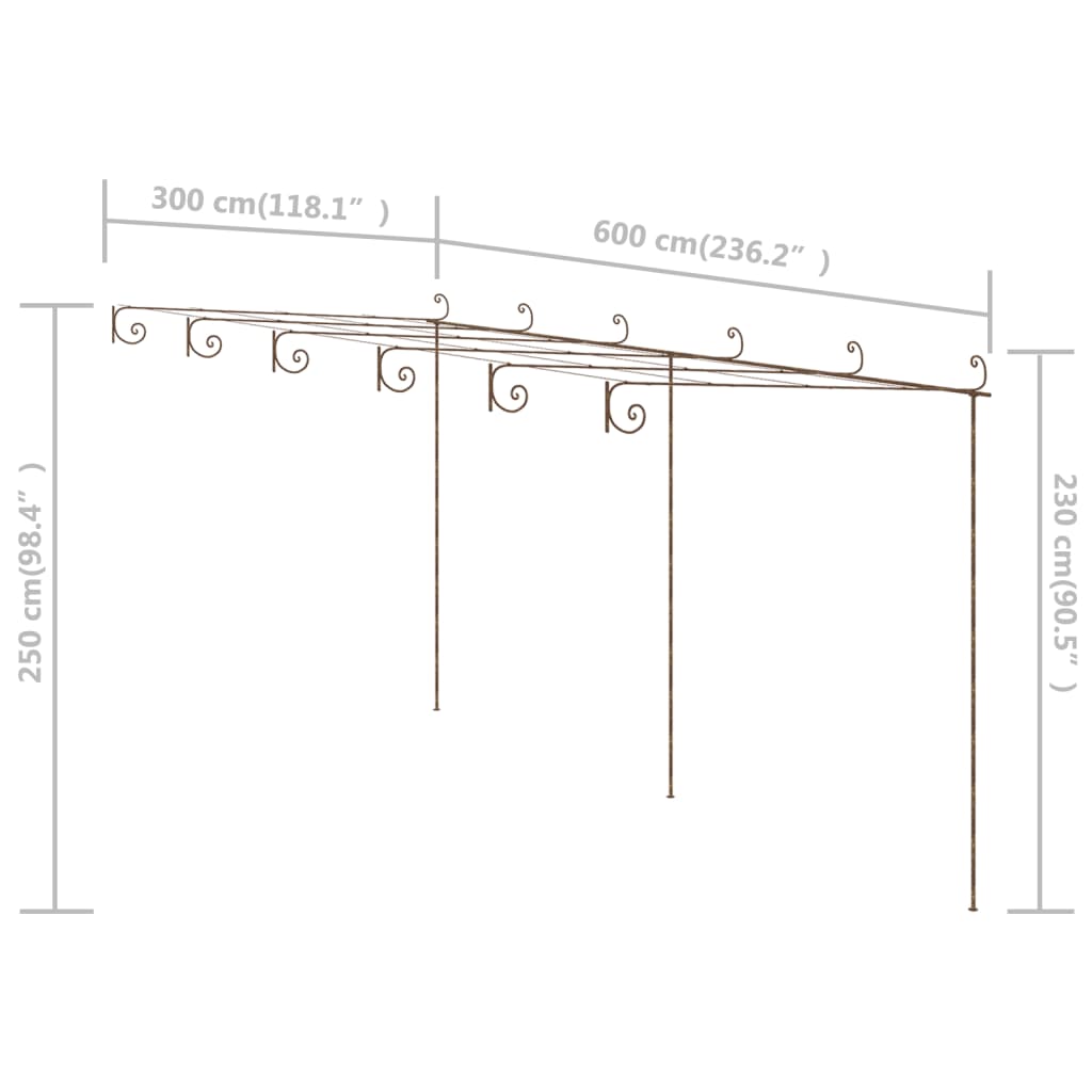 Tuinpergola 6x3x2,5 m ijzer antiekbruin is nu te koop bij PeponiXL, paradijselijk wonen!