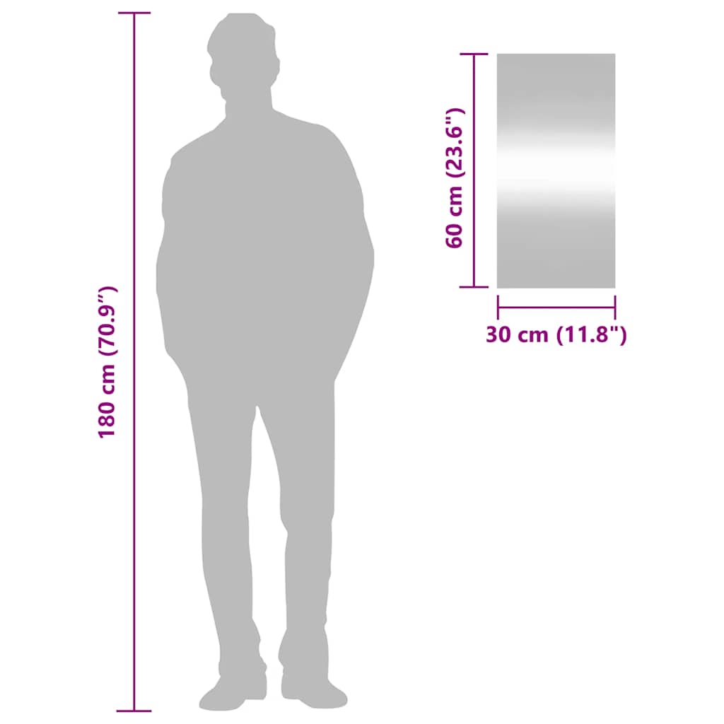 Wandspiegel 30x60 cm rechthoekig glas is nu te koop bij PeponiXL, paradijselijk wonen!