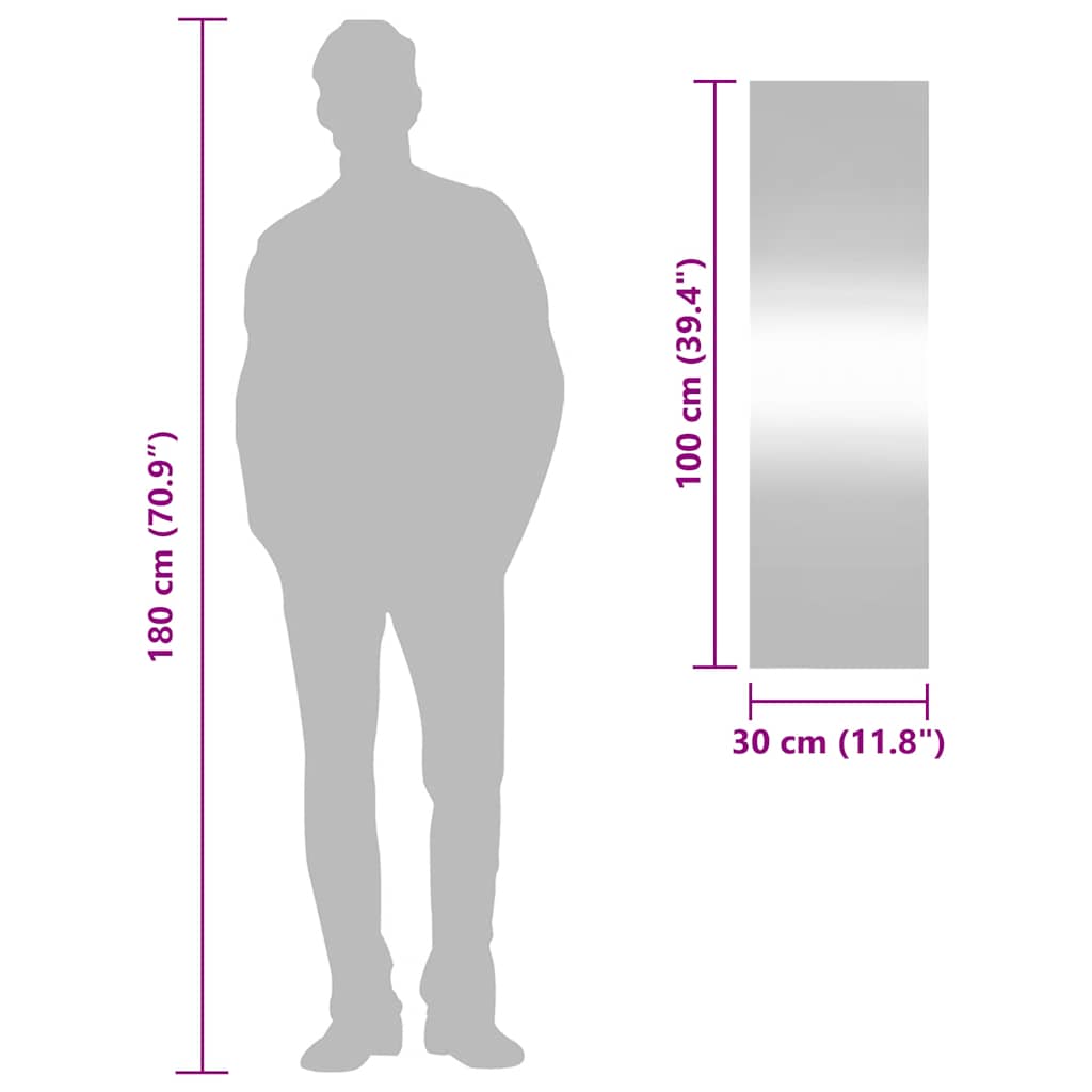 Wandspiegel 30x100 cm rechthoekig glas is nu te koop bij PeponiXL, paradijselijk wonen!