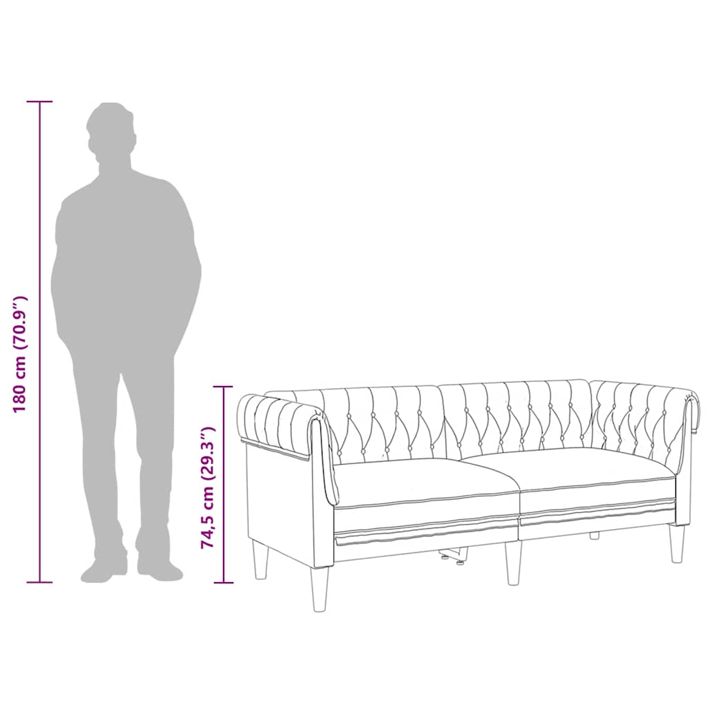 Tweezitsbank Chesterfield-stijl stof zwart is nu te koop bij PeponiXL, paradijselijk wonen!