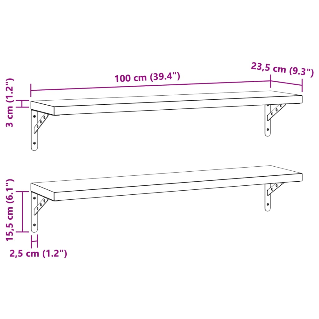 Wandschappen 2 st 100x23,5 cm roestvrijstaal zwart is nu te koop bij PeponiXL, paradijselijk wonen!
