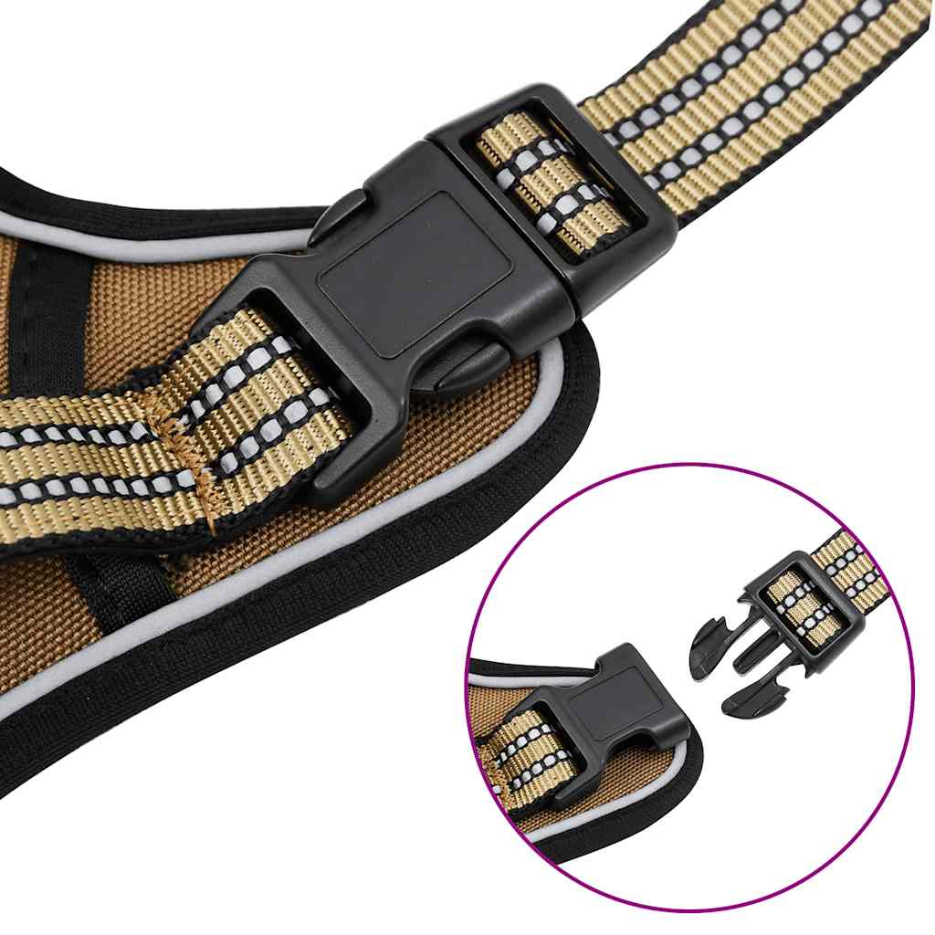 Hondentuigje met riem en halsband verstelbaar L bruin is nu te koop bij PeponiXL, paradijselijk wonen!