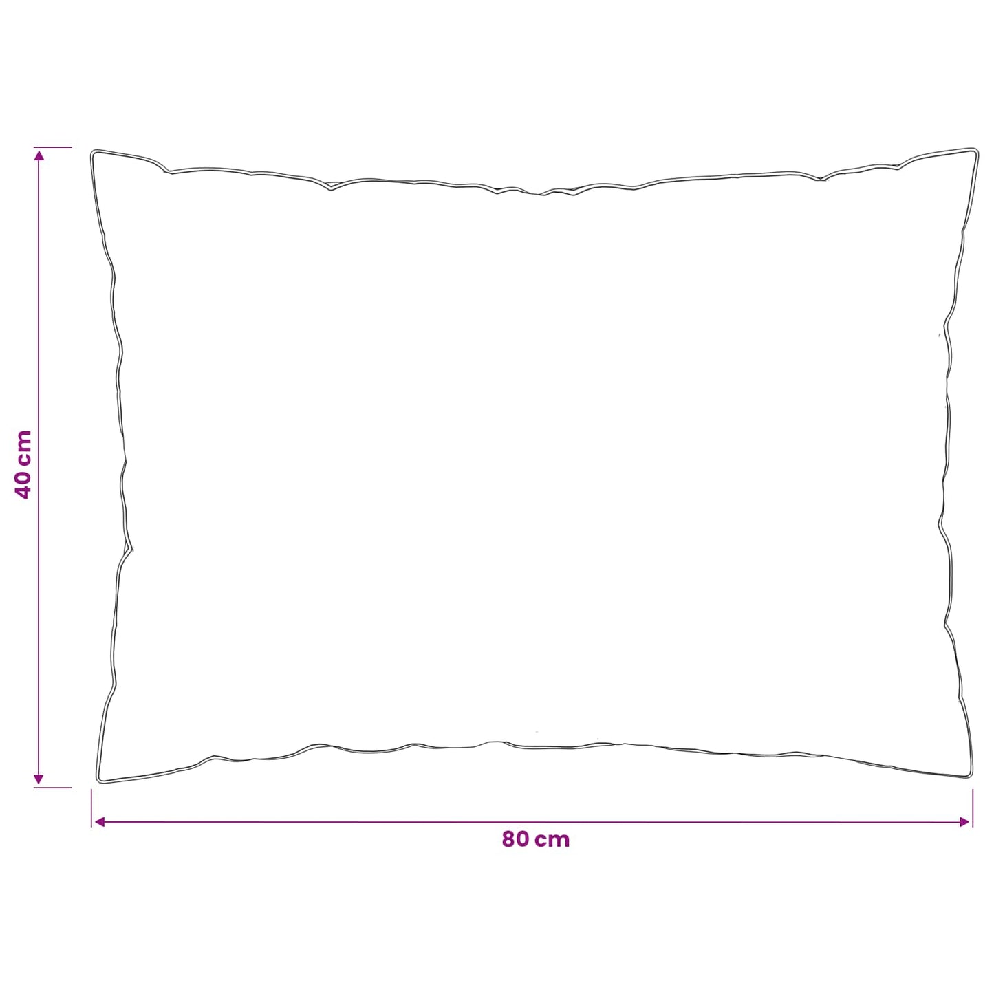 Hoofdkussen FULDA 2 pcs 40 x 80 cm 100% Ganzendons en Veer Wit