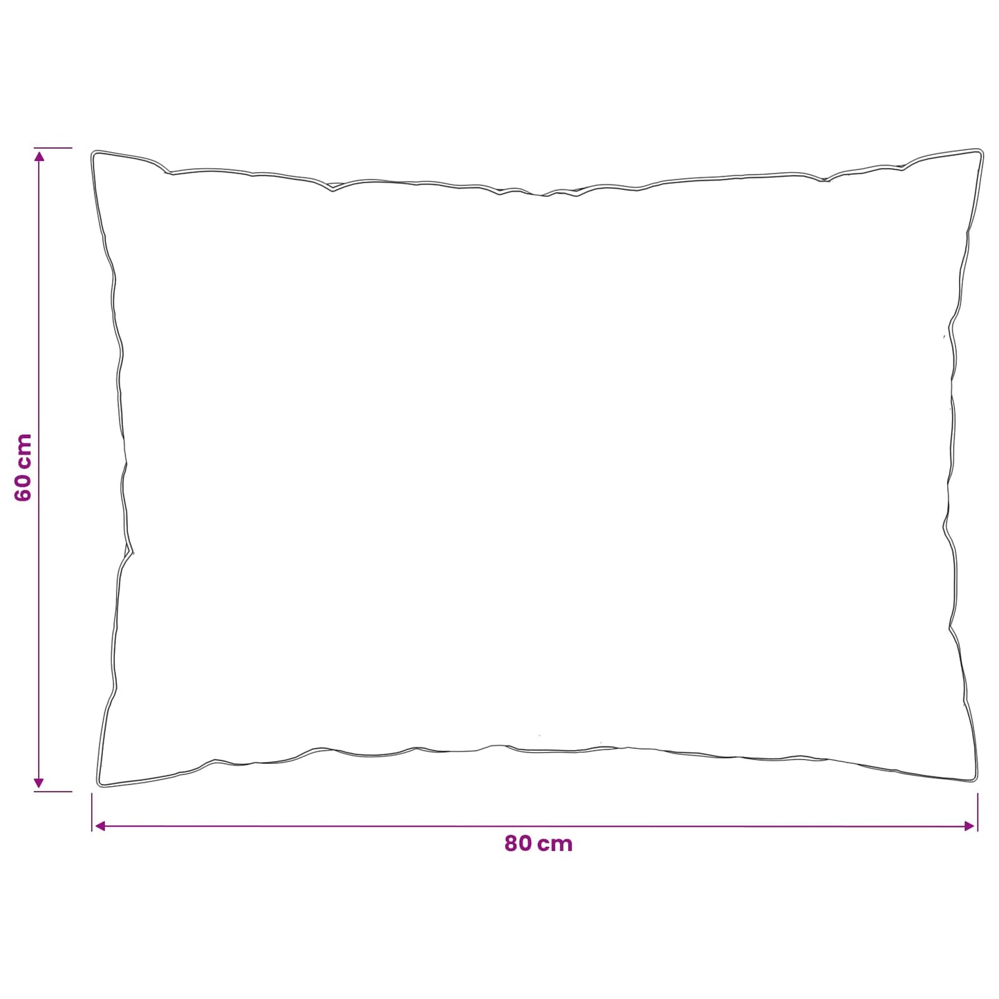 Hoofdkussen FULDA 2 pcs 60 x 80 cm 100% Ganzendons en Veer Wit