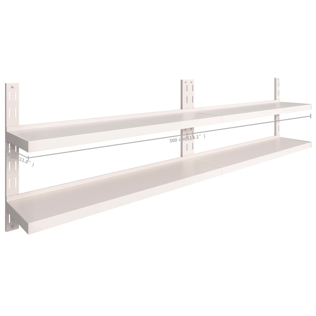 Wandschappen zwevend 2-laags 2 st 300x30 cm roestvrij staal is nu te koop bij PeponiXL, paradijselijk wonen!