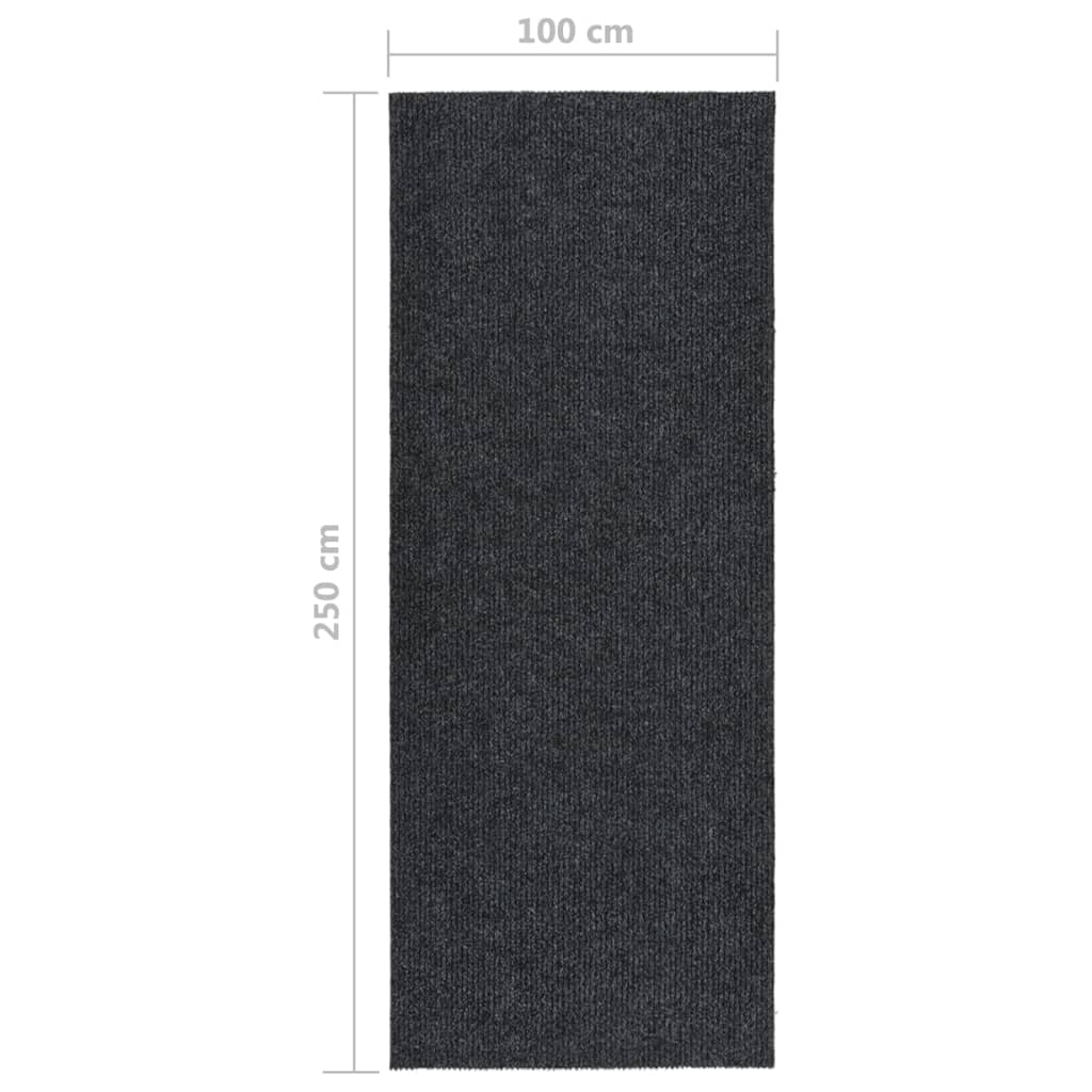 Droogloopmat 100x250 cm antracietkleurig is nu te koop bij PeponiXL, paradijselijk wonen!