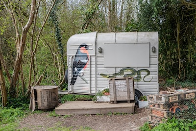 Paarden-en-veetrailers