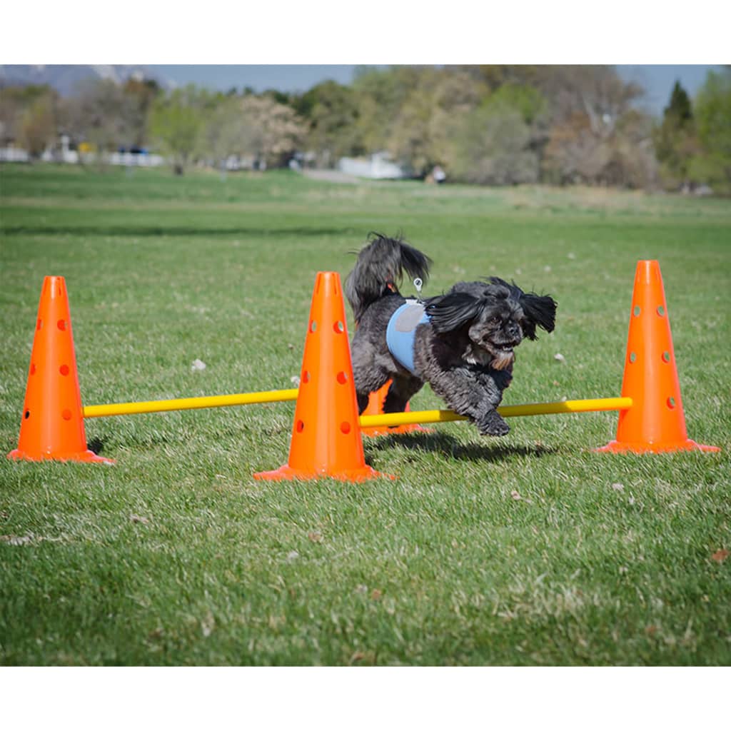 FitPAWS Hordenset is nu te koop bij PeponiXL, paradijselijk wonen!