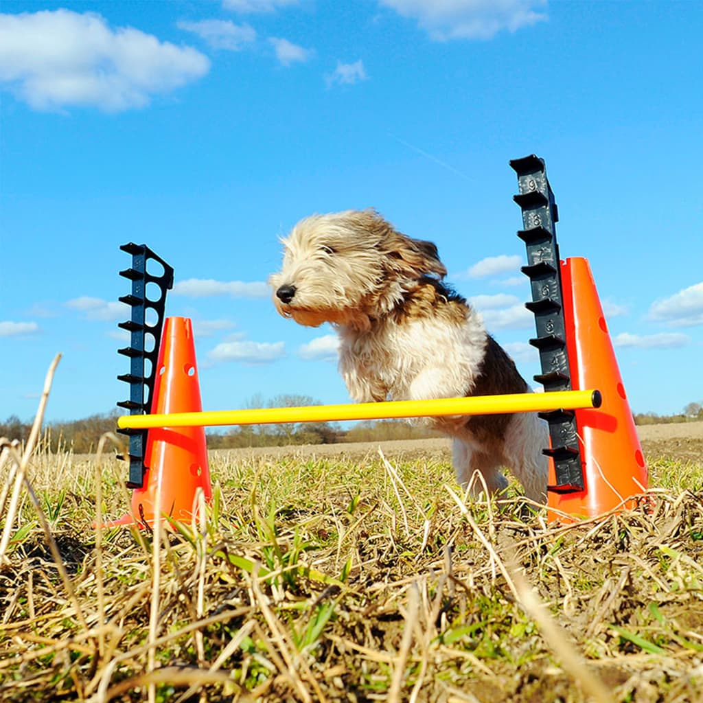 FitPAWS Hordenset is nu te koop bij PeponiXL, paradijselijk wonen!