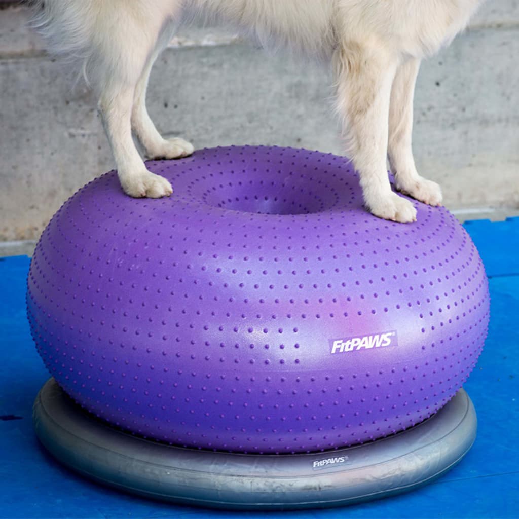 FitPAWS Donuthouder 63 cm grijs is nu te koop bij PeponiXL, paradijselijk wonen!