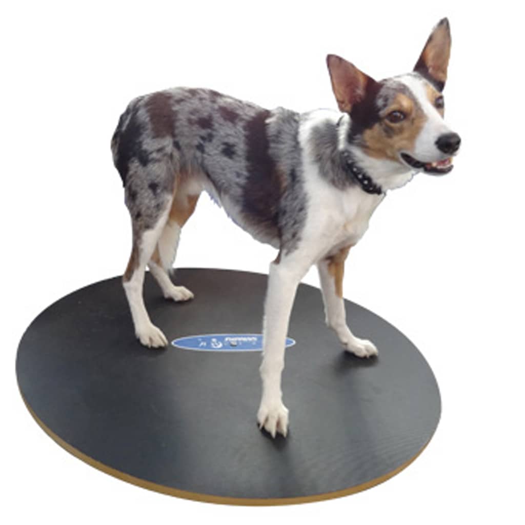 FitPAWS Balansbord 50 cm zwart is nu te koop bij PeponiXL, paradijselijk wonen!