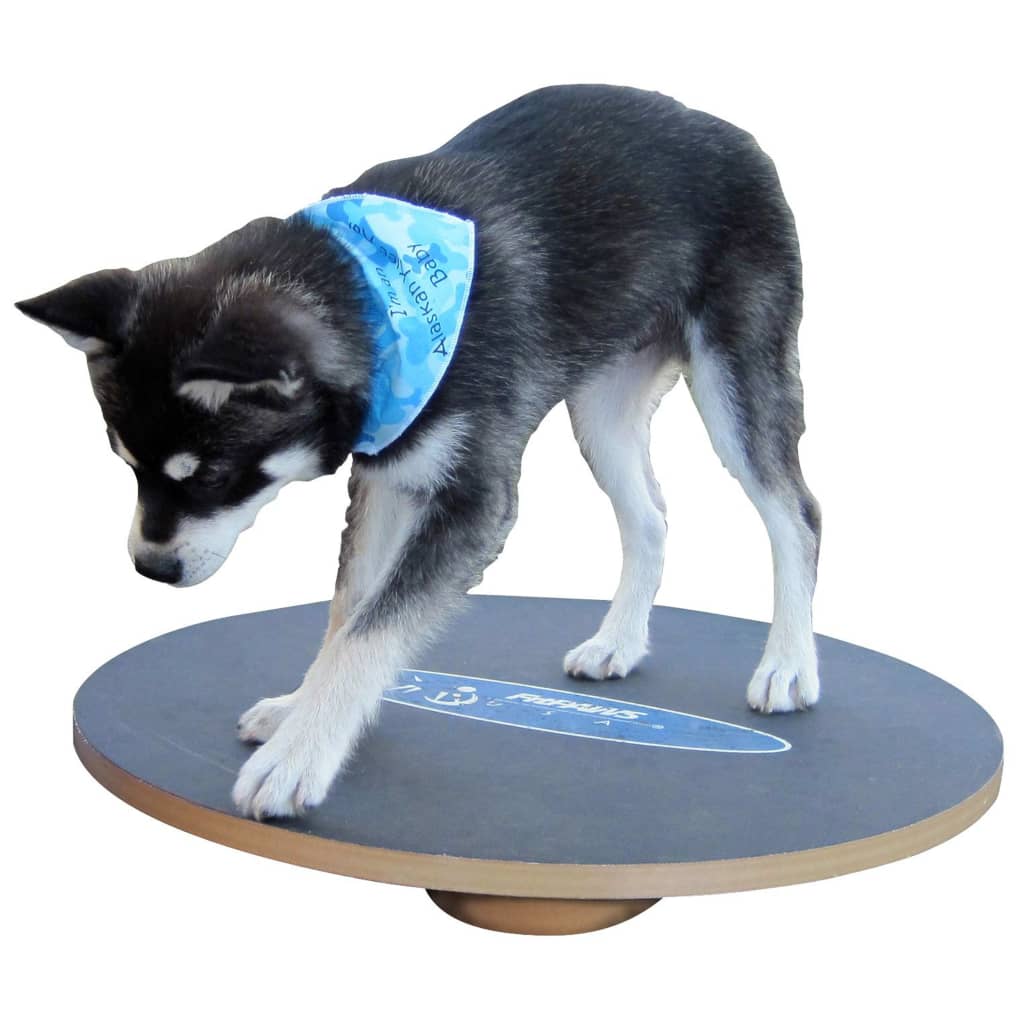 FitPAWS Balansbord 50 cm zwart is nu te koop bij PeponiXL, paradijselijk wonen!