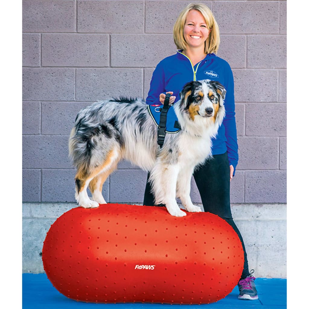 FitPAWS Dierenbalansplatform Trax Peanut 50 cm rood is nu te koop bij PeponiXL, paradijselijk wonen!