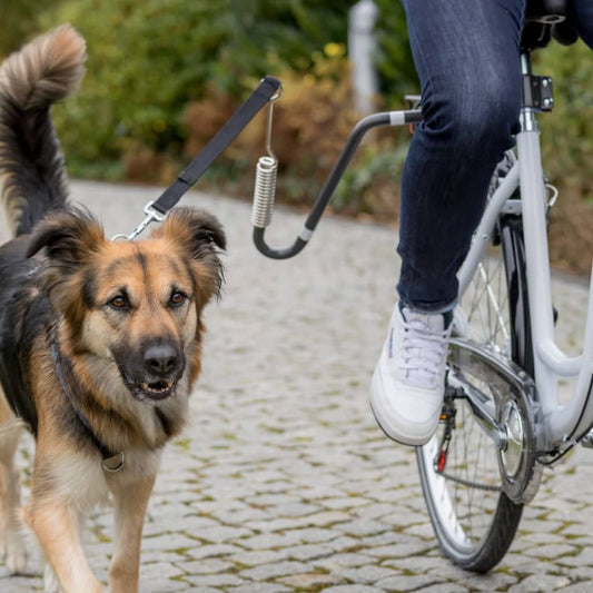 TRIXIE Hondenfietsriemset U-vormig zwart is nu te koop bij PeponiXL, paradijselijk wonen!