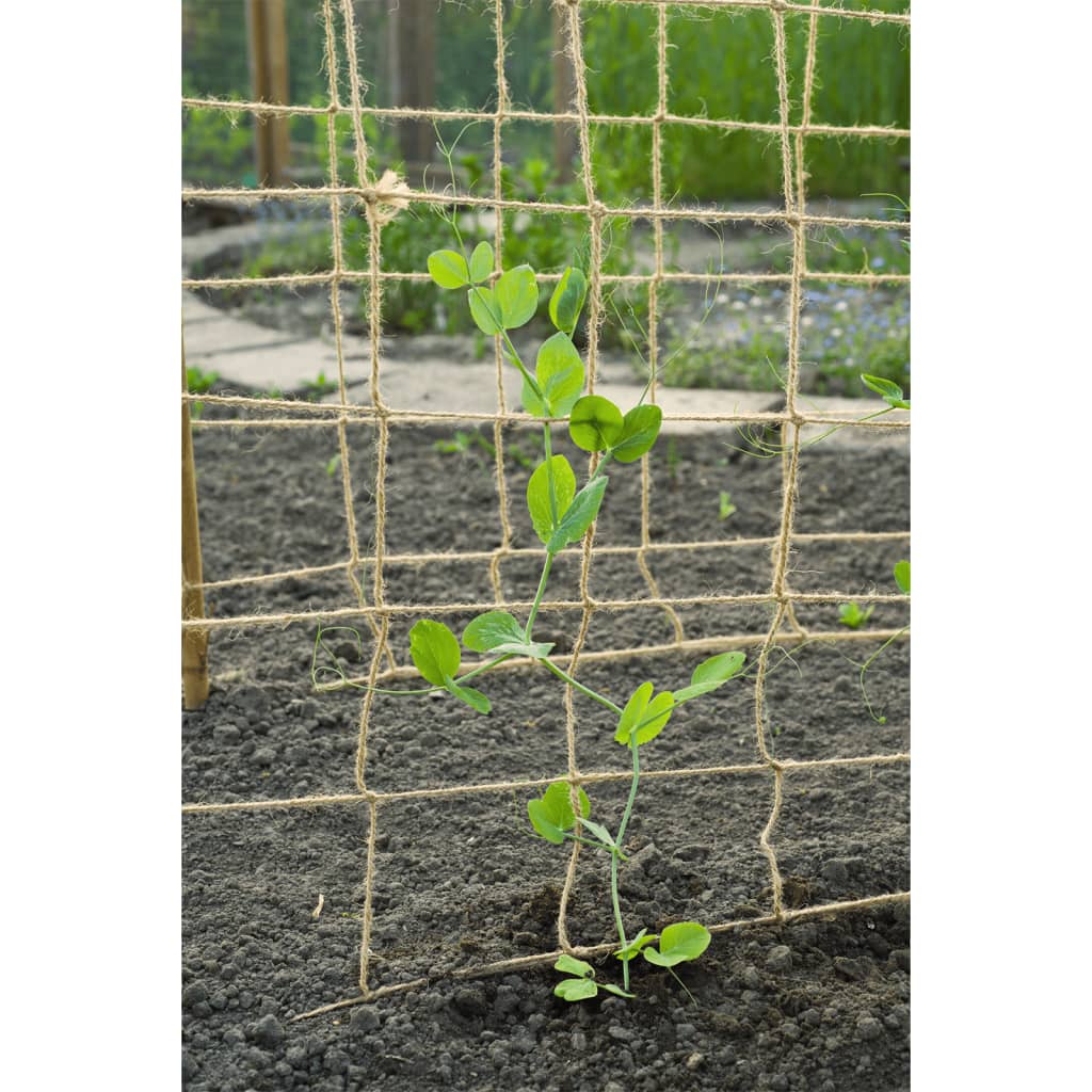 Nature Klimnet voor planten 1x3 m jute naturel is nu te koop bij PeponiXL, paradijselijk wonen!