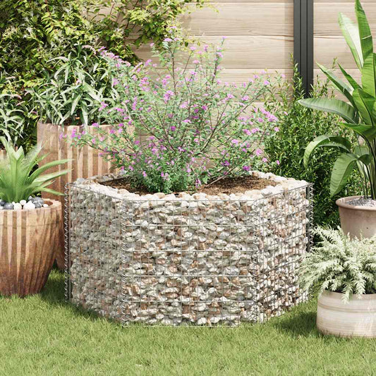 Gabion plantenbak verhoogd zeshoekig 100x90x50 cm is nu te koop bij PeponiXL, paradijselijk wonen!