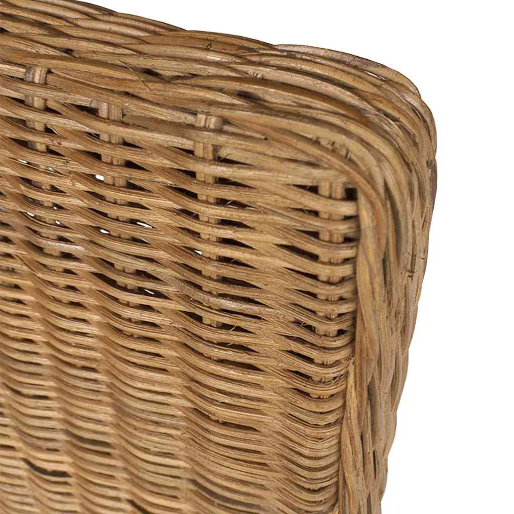 Eetkamerstoelen 2 st natuurlijk rattan bruin is nu te koop bij PeponiXL, paradijselijk wonen!