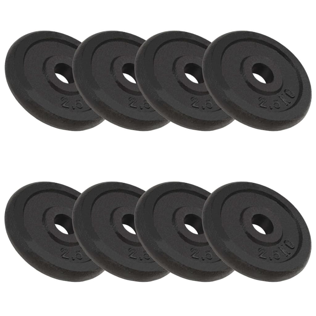 Halterschijven 8 st 8x2,5 kg gietijzer is nu te koop bij PeponiXL, paradijselijk wonen!