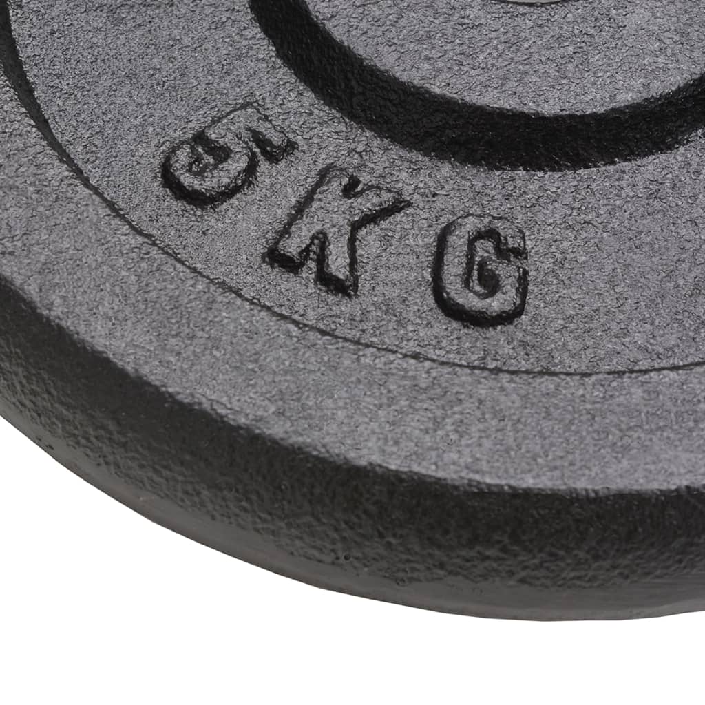 Halterschijven 4 st 4x5 kg gietijzer is nu te koop bij PeponiXL, paradijselijk wonen!