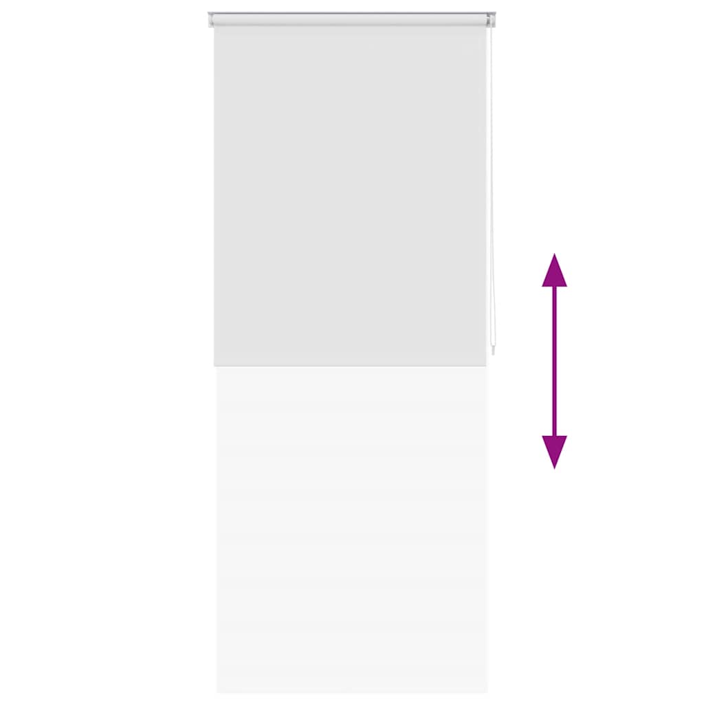 Rolgordijn voor douche 120x240 cm wit is nu te koop bij PeponiXL, paradijselijk wonen!