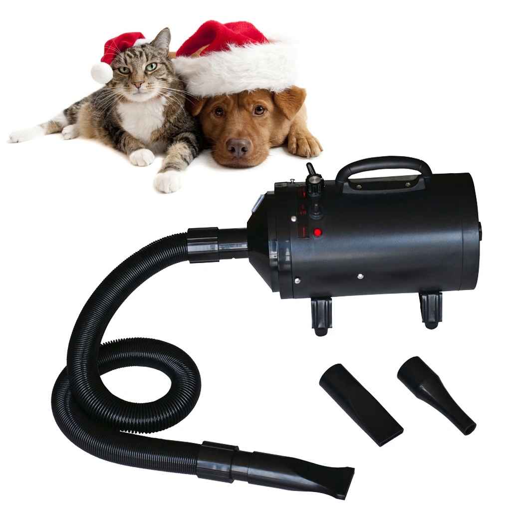 Hondenföhn met 3 opzetstukken 2400 W zwart is nu te koop bij PeponiXL, paradijselijk wonen!