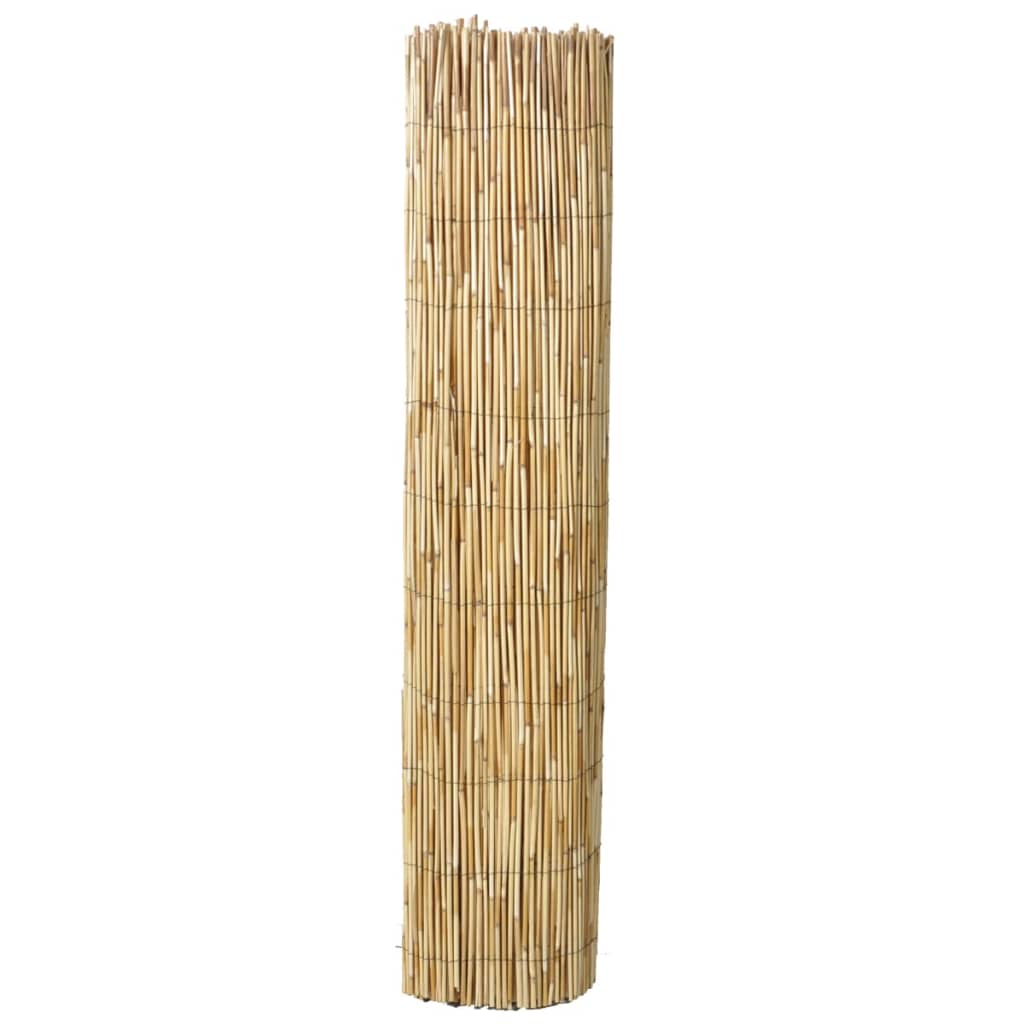 Scherm 150x500 cm riet is nu te koop bij PeponiXL, paradijselijk wonen!