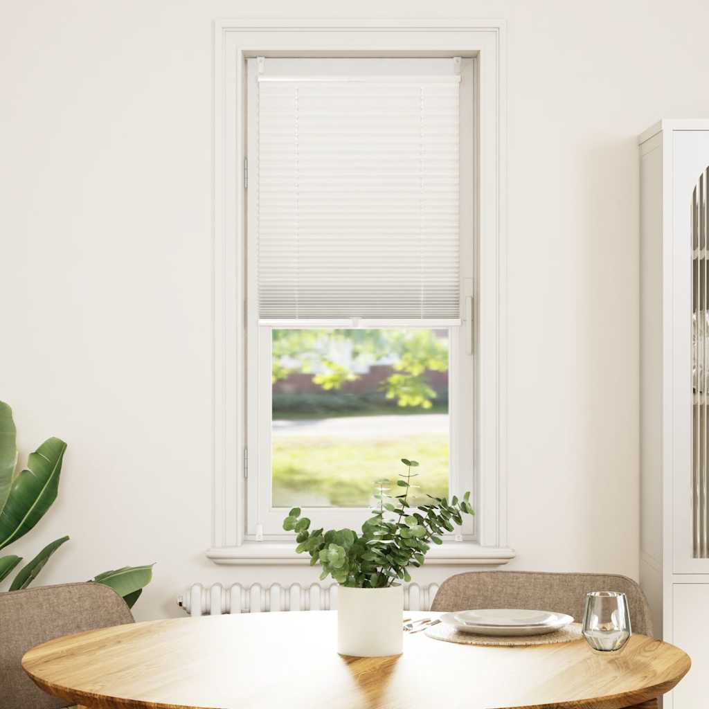 Plisséjaloezie 50x100 cm wit is nu te koop bij PeponiXL, paradijselijk wonen!