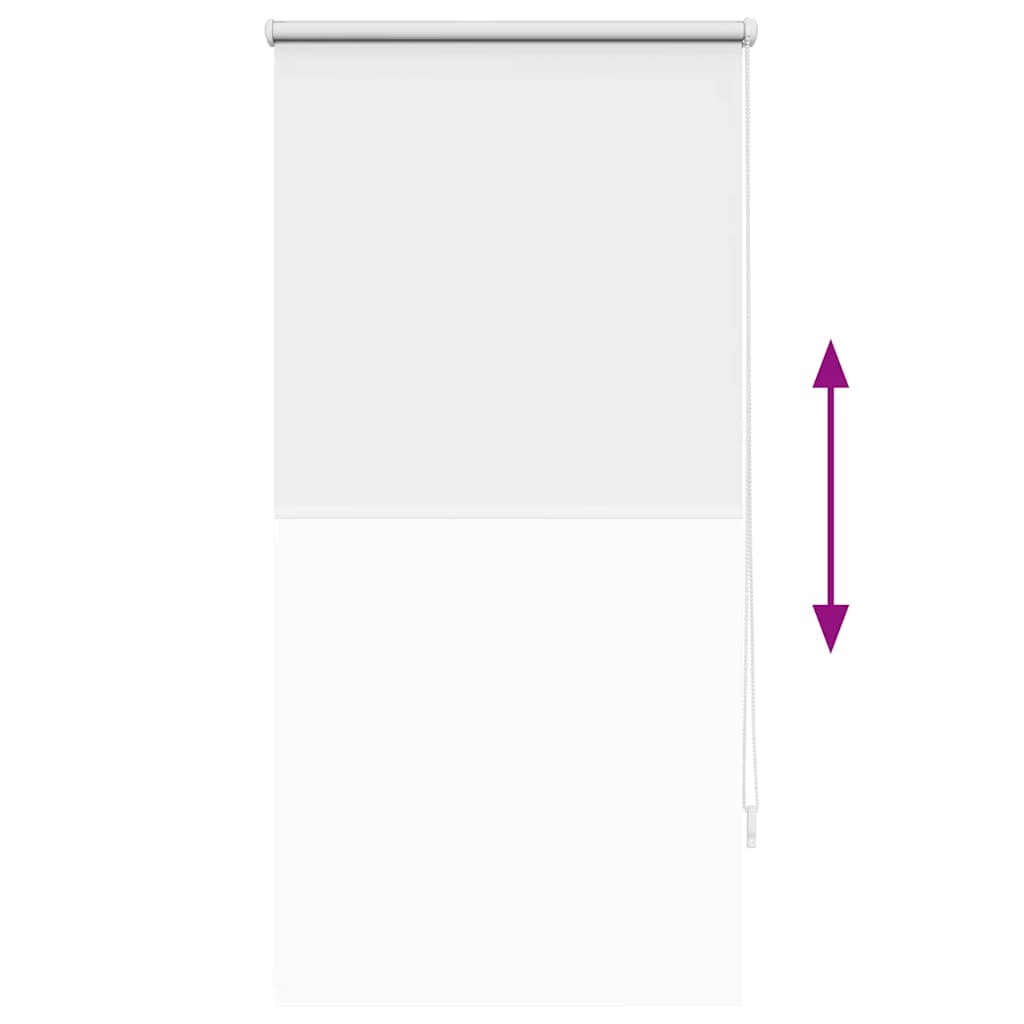 Rolgordijn verduisterend 64,4 x 120 cm stofbreedte 60 cm wit is nu te koop bij PeponiXL, paradijselijk wonen!