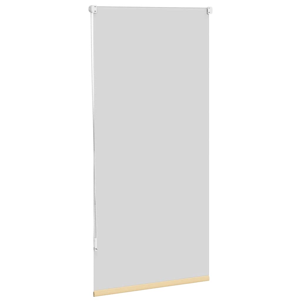 Rolgordijn verduisterend 64,4 x 120 cm stofbreedte 60 cm beige is nu te koop bij PeponiXL, paradijselijk wonen!