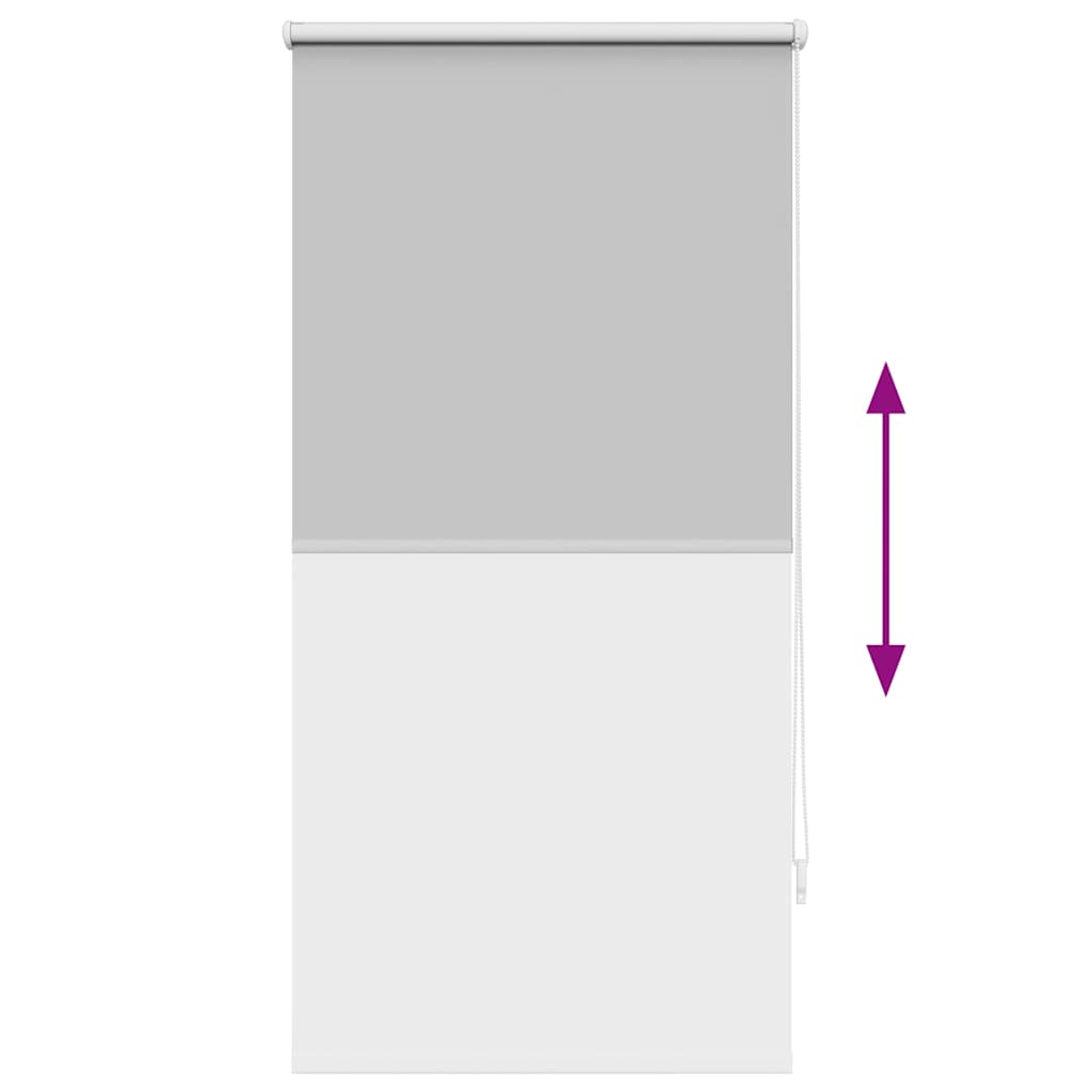 Rolgordijn verduisterend 64,4 x 120 cm stofbreedte 60 cm grijs is nu te koop bij PeponiXL, paradijselijk wonen!