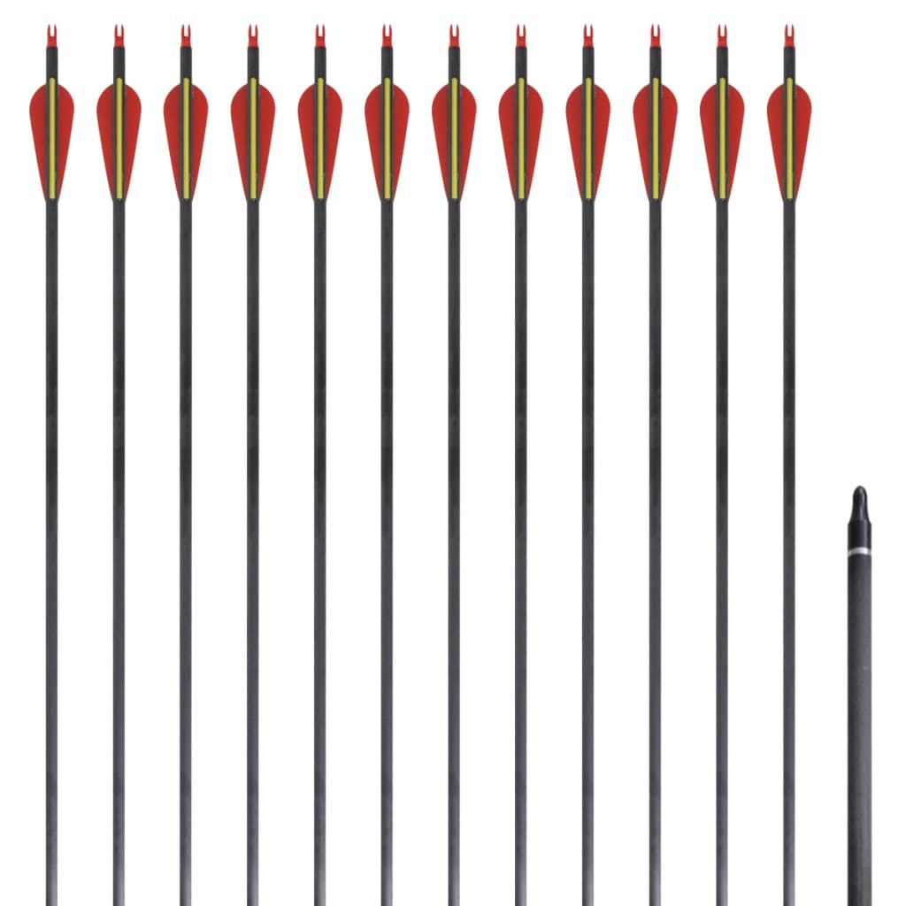 Pijlen voor recurveboog standaard 30" 0,76 cm koolstof 12 stuks is nu te koop bij PeponiXL, paradijselijk wonen!