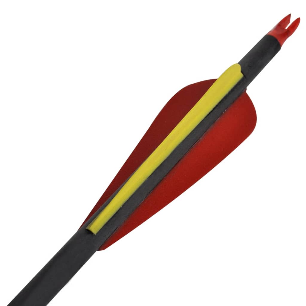 Pijlen voor recurveboog standaard 30" 0,76 cm koolstof 12 stuks is nu te koop bij PeponiXL, paradijselijk wonen!