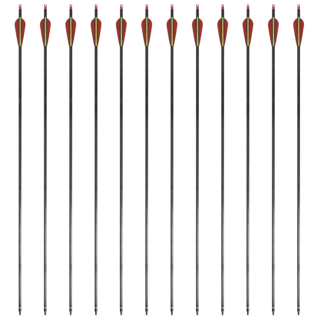Pijlen voor recurveboog standaard 30" 0,76 cm koolstof 12 stuks is nu te koop bij PeponiXL, paradijselijk wonen!