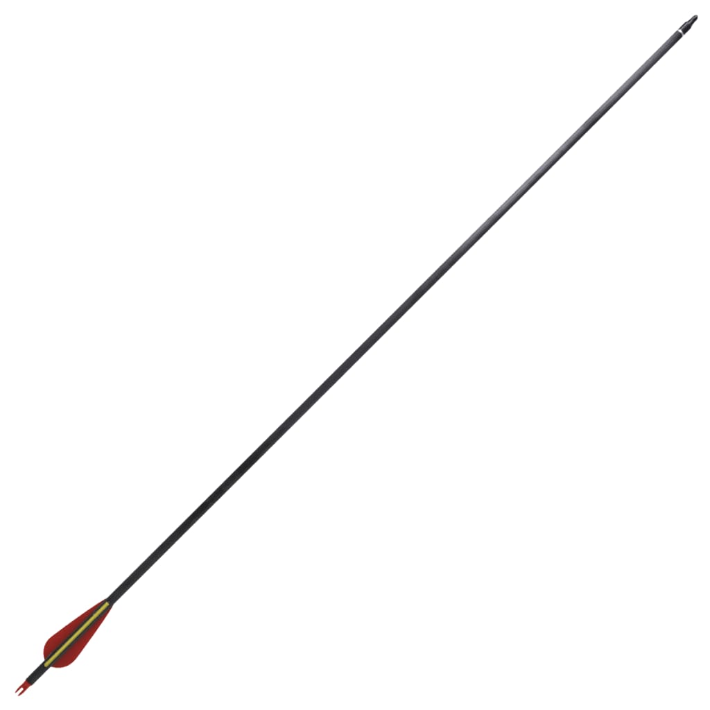 Pijlen voor recurveboog standaard 30" 0,76 cm koolstof 12 stuks is nu te koop bij PeponiXL, paradijselijk wonen!