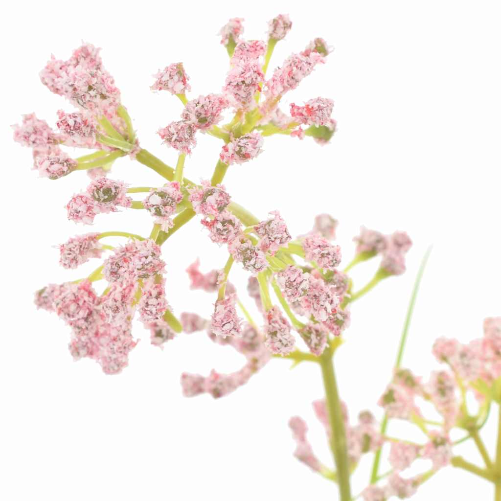 Kunstmatige Flora 95 cm Kunststof is nu te koop bij PeponiXL, paradijselijk wonen!