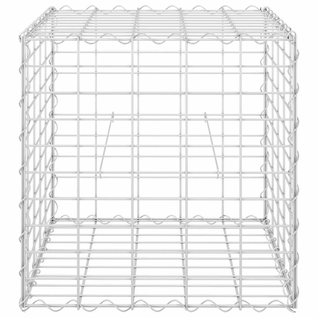 Gabion plantenbak verhoogd kubus 50x50x50 cm staaldraad is nu te koop bij PeponiXL, paradijselijk wonen!