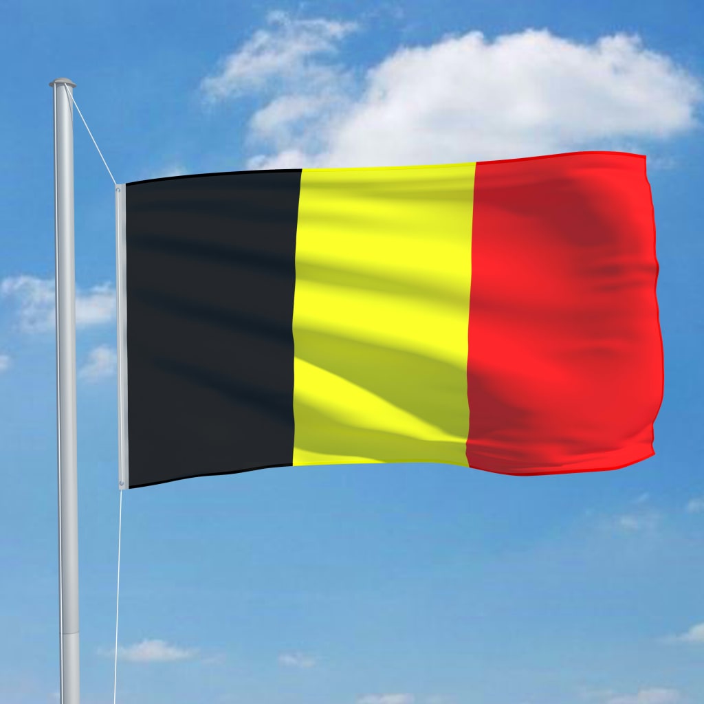 Vlag België 90x150 cm is nu te koop bij PeponiXL, paradijselijk wonen!
