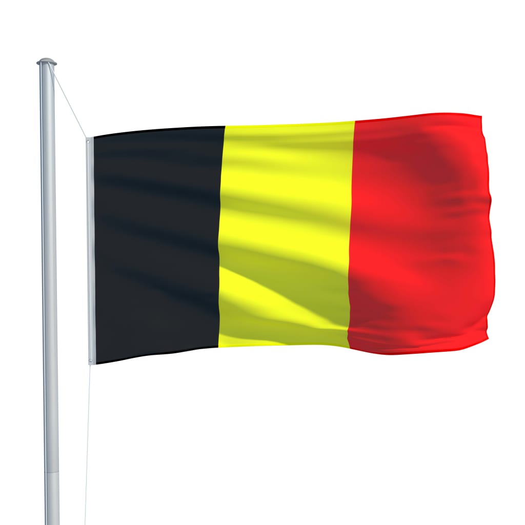 Vlag België 90x150 cm is nu te koop bij PeponiXL, paradijselijk wonen!