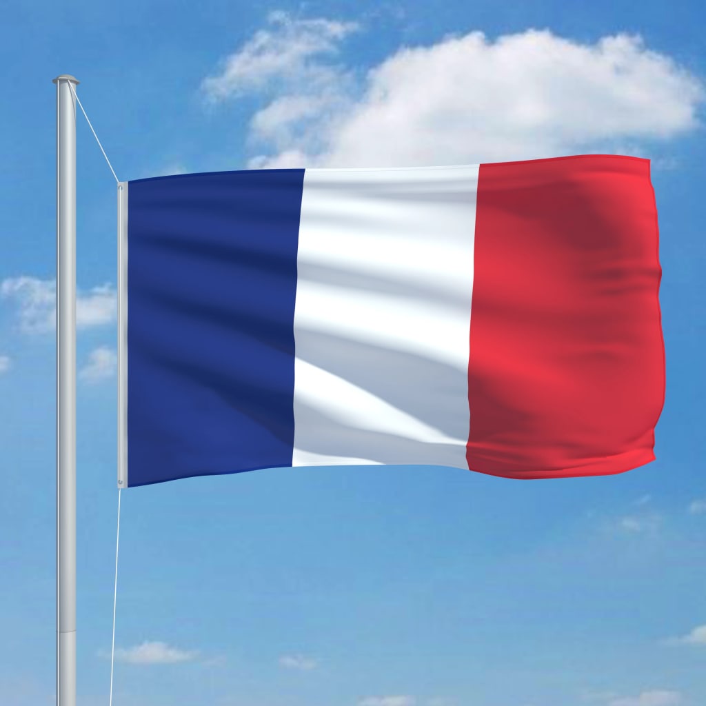 Vlag Frankrijk 90x150 cm is nu te koop bij PeponiXL, paradijselijk wonen!