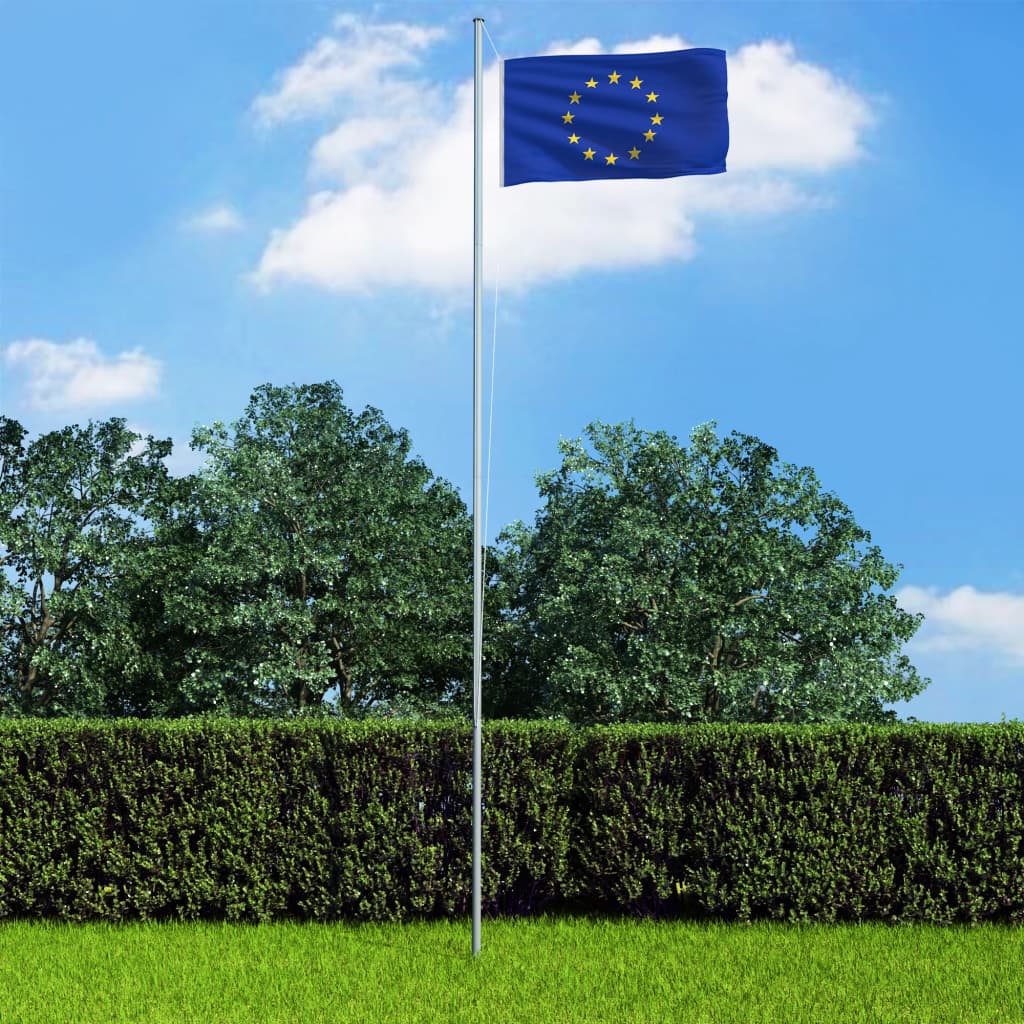 Vlag Europa 90x150 cm is nu te koop bij PeponiXL, paradijselijk wonen!