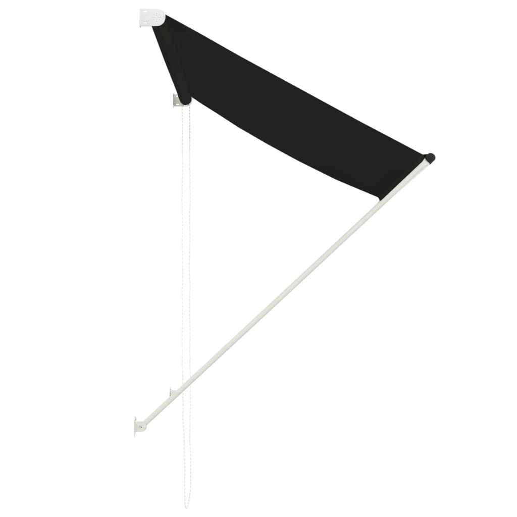 Luifel uittrekbaar 100x150 cm antraciet is nu te koop bij PeponiXL, paradijselijk wonen!
