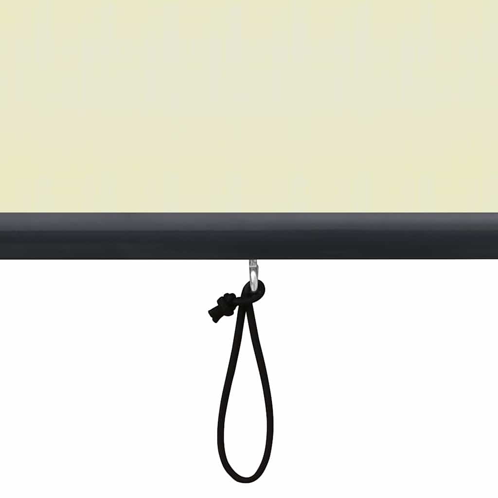 Rolgordijn voor buiten 60x250 cm crème is nu te koop bij PeponiXL, paradijselijk wonen!