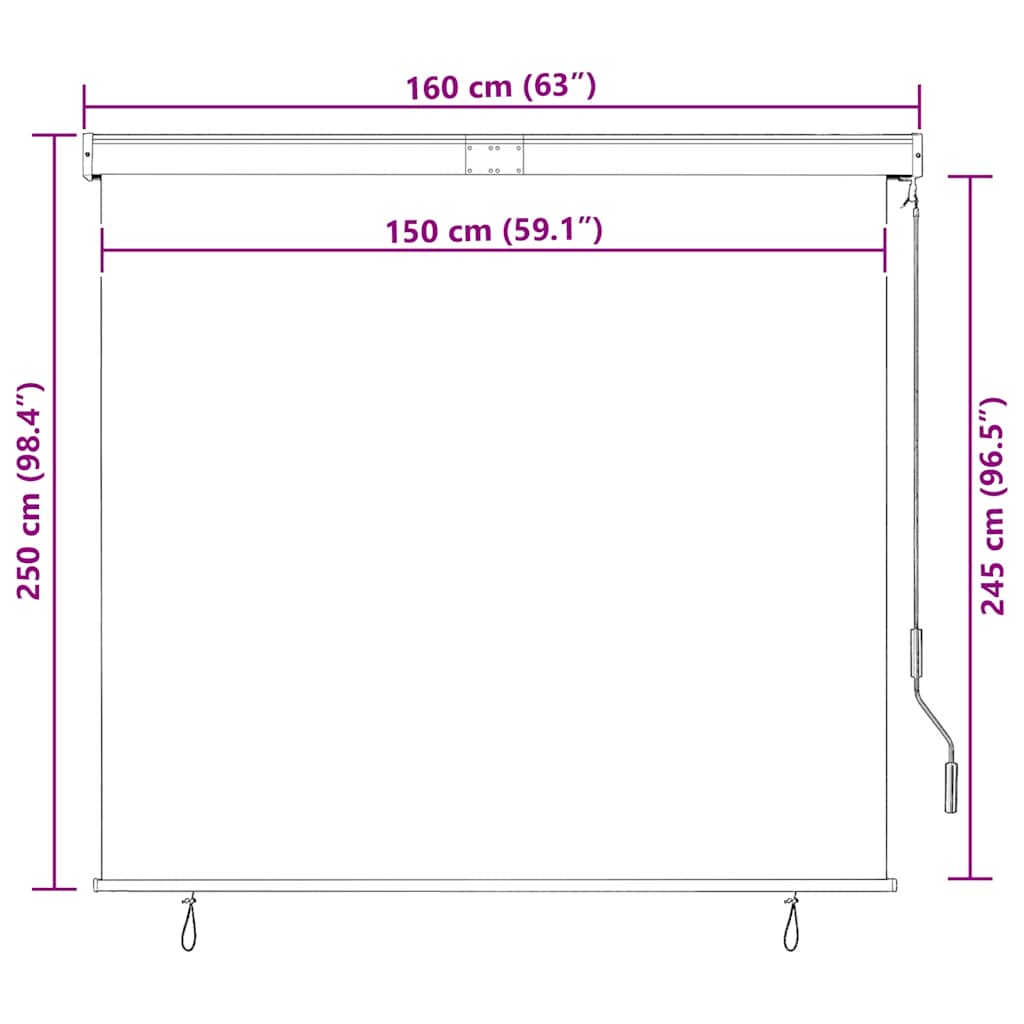 Rolgordijn voor buiten 160x250 cm antraciet is nu te koop bij PeponiXL, paradijselijk wonen!