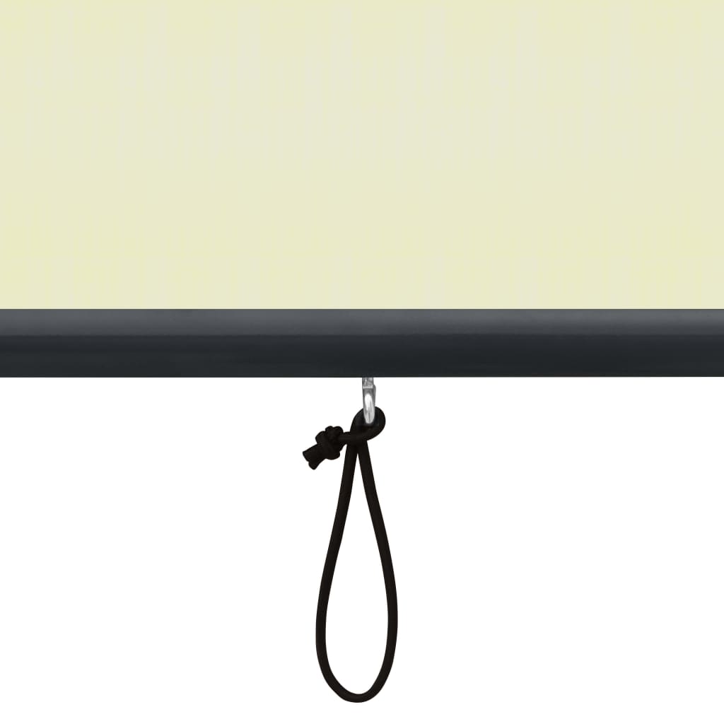 Rolgordijn voor buiten 160x250 cm crème is nu te koop bij PeponiXL, paradijselijk wonen!