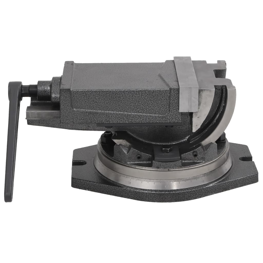 Bankschroef met 2 assen kantelbaar 160 mm is nu te koop bij PeponiXL, paradijselijk wonen!