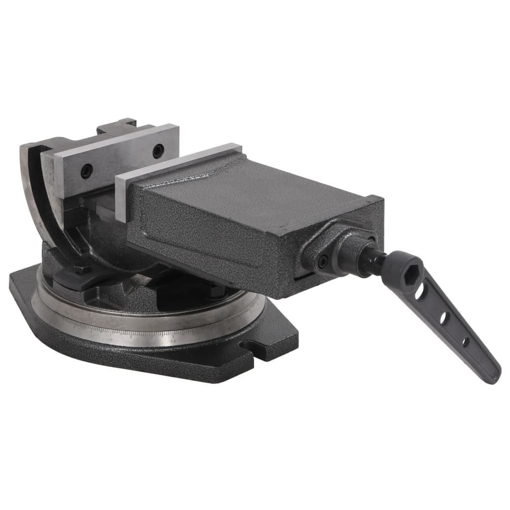 Bankschroef met 2 assen kantelbaar 160 mm is nu te koop bij PeponiXL, paradijselijk wonen!