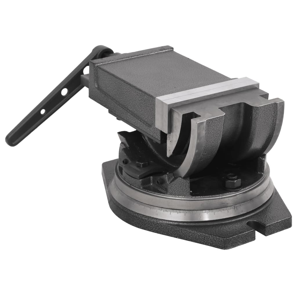 Bankschroef met 2 assen kantelbaar 160 mm is nu te koop bij PeponiXL, paradijselijk wonen!